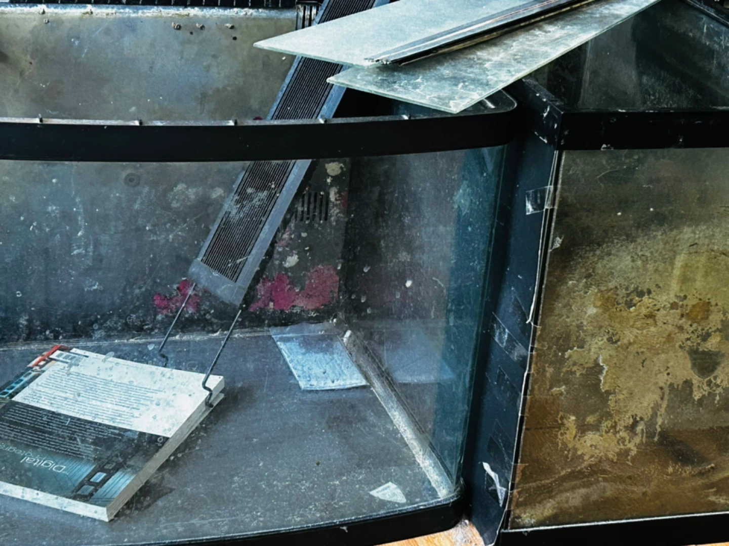 Dirty but leak free fish tanks (including bio-cube)