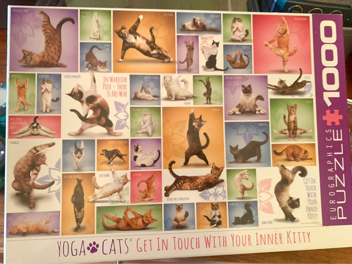 Eurographics Yoga Cats 1000 Piece Jigsaw Puzzle