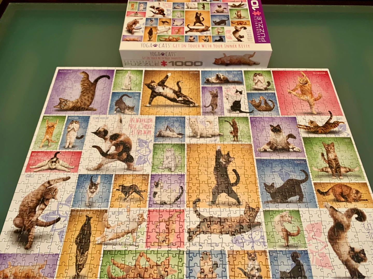 Eurographics Yoga Cats 1000 Piece Jigsaw Puzzle - photo 2