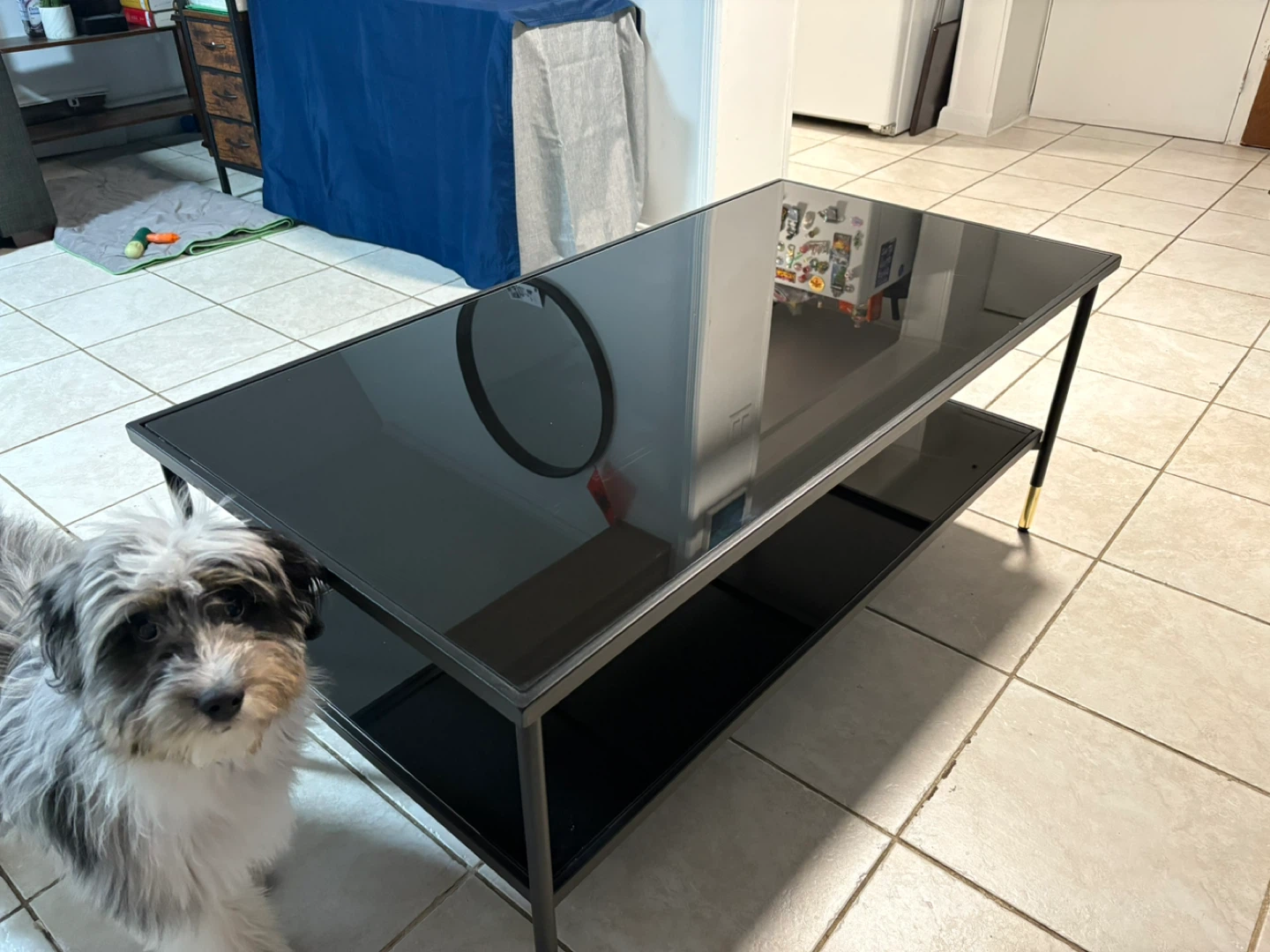 IKEA ÄSPERÖD Coffee Table - Black/Glass Black