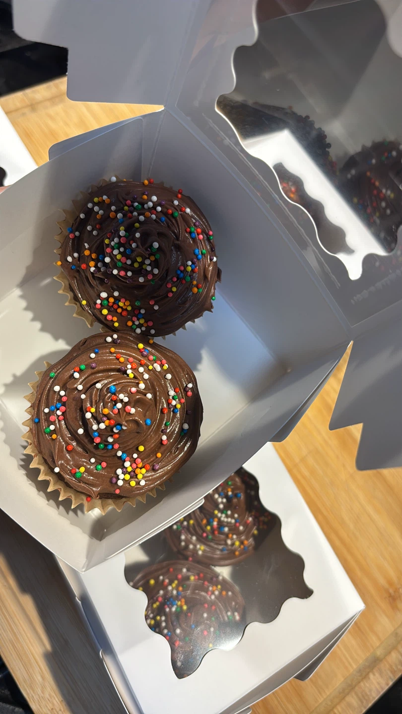 Homemade Chocolate Cupcakes with Sprinkles