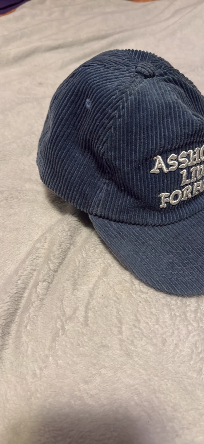 Assholes Live Forevee Blue Corduroy Baseball Cap - photo 5