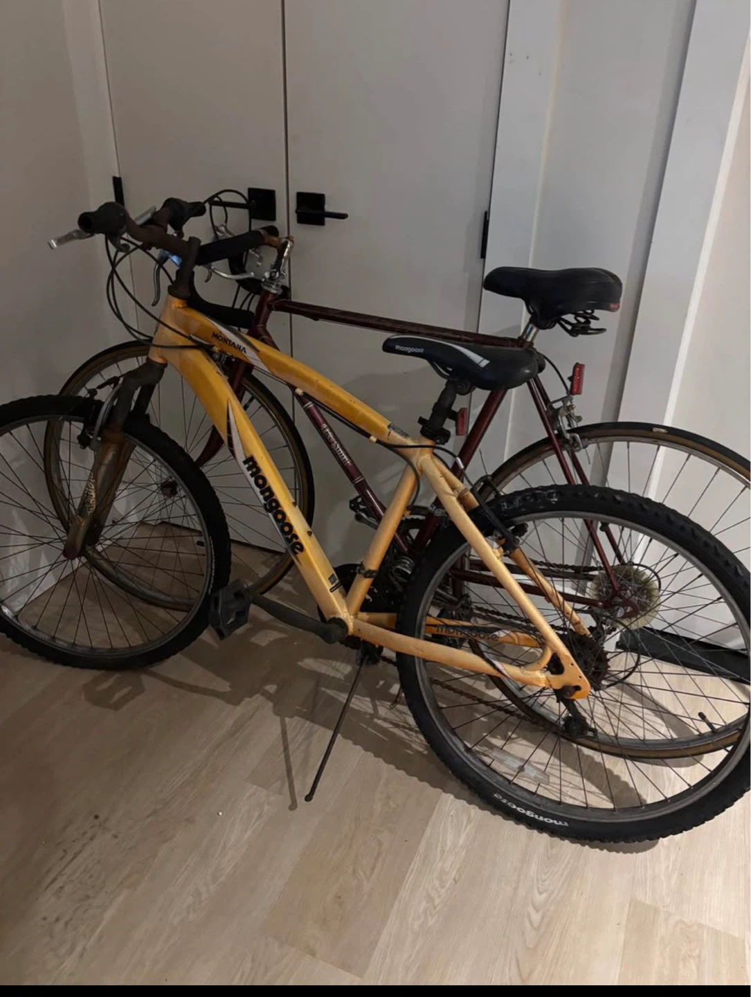 2 bikes ($40 each)