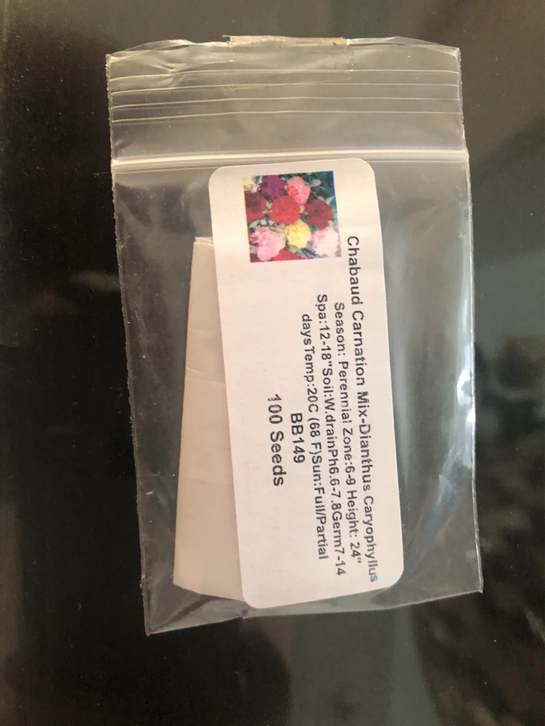 Chabaud Carnation Mix Seeds - 100 Seeds