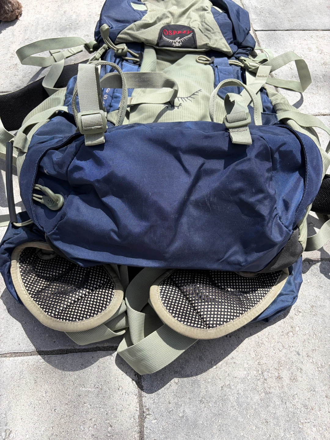 Osprey Kestrel 38L Hiking Backpack - photo 4