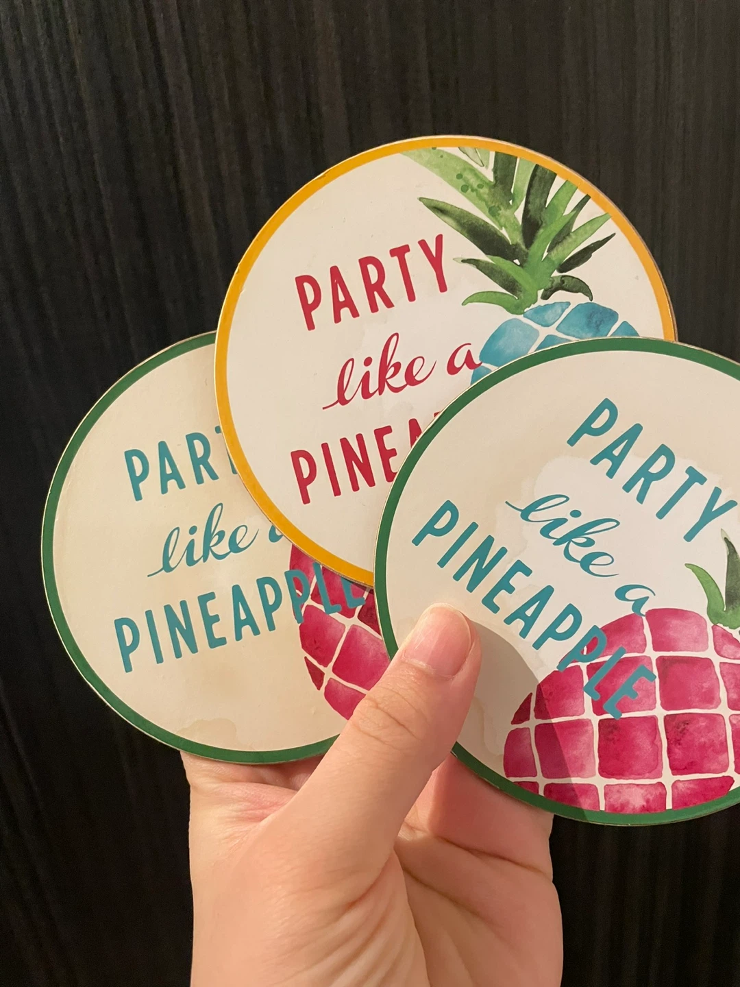 Party Like a Pineapple Coasters (Set of 3)