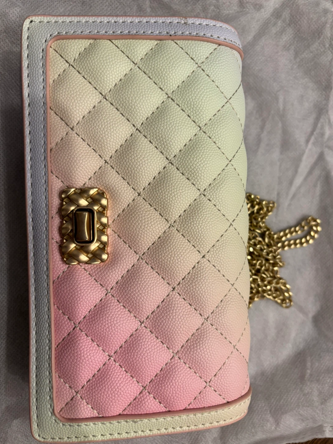 Charles & Keith Quilted Wallet/Clutch with Chain