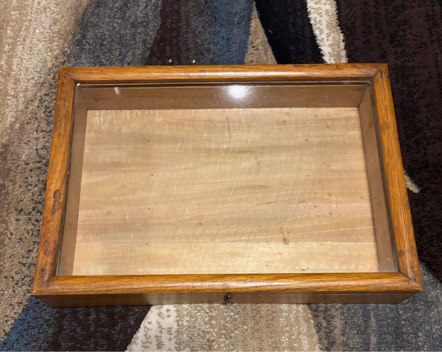 Vintage shadow box, display case