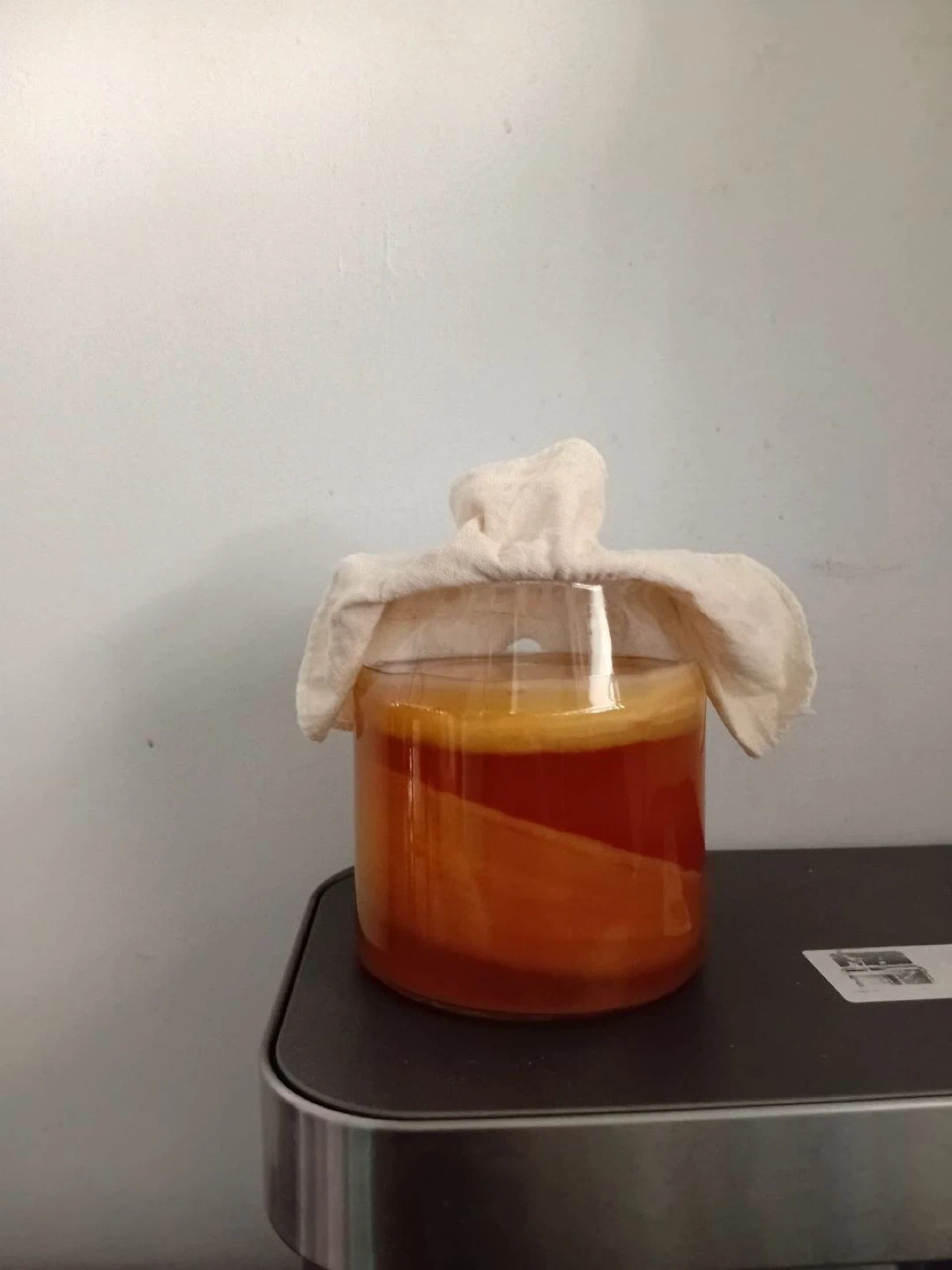 Scoby Kombucha