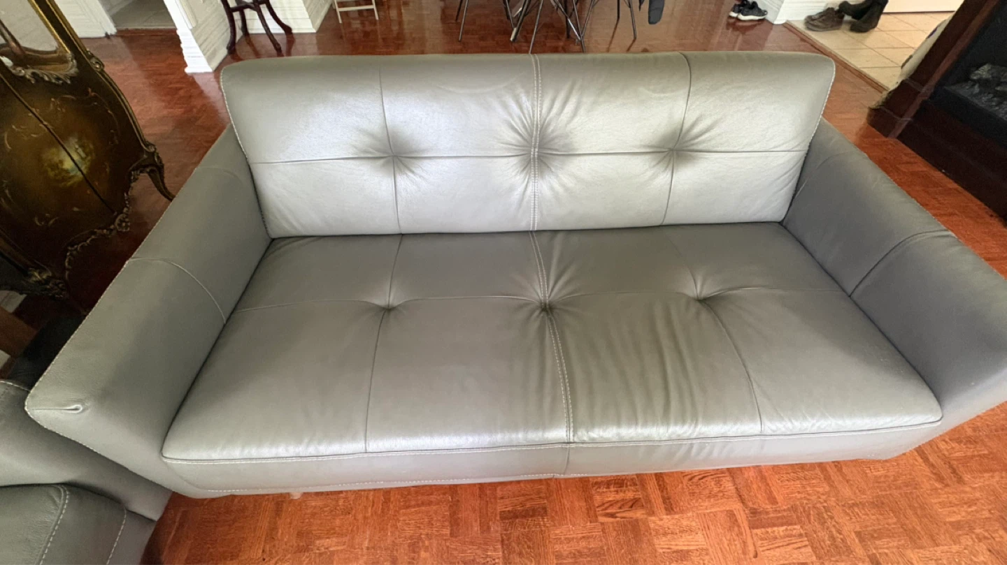 Two genuine Leather Sofa