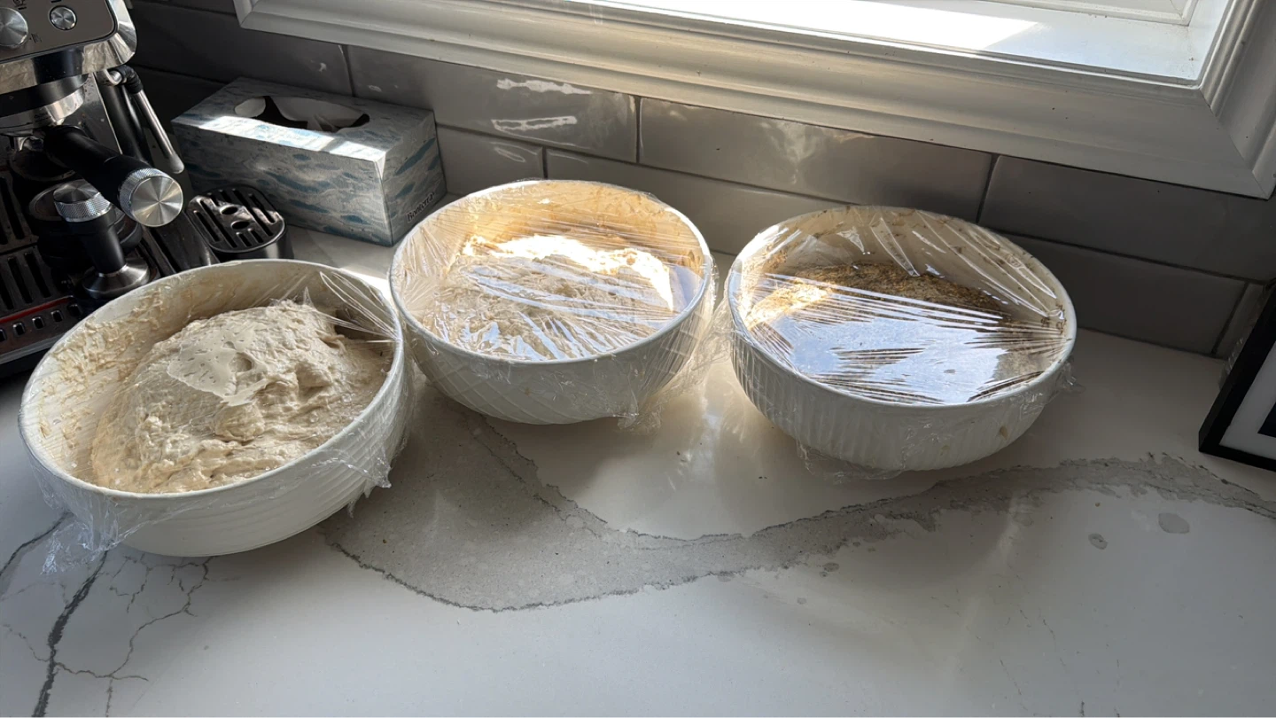 Three bowls of dough covered in plastic wrap