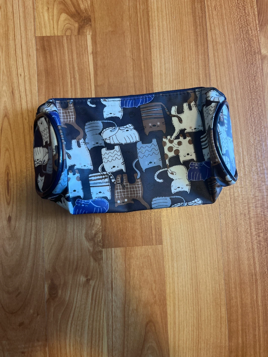 Cat Pencil Case (Broken Zipper)