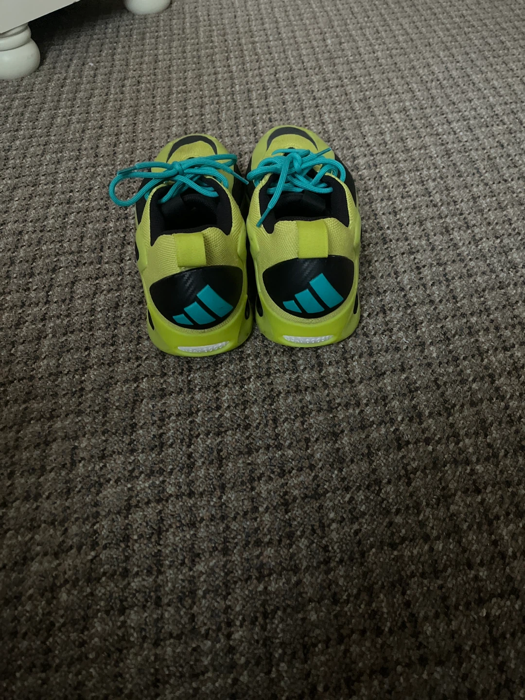 Anthony Edwards 1 low - photo 2