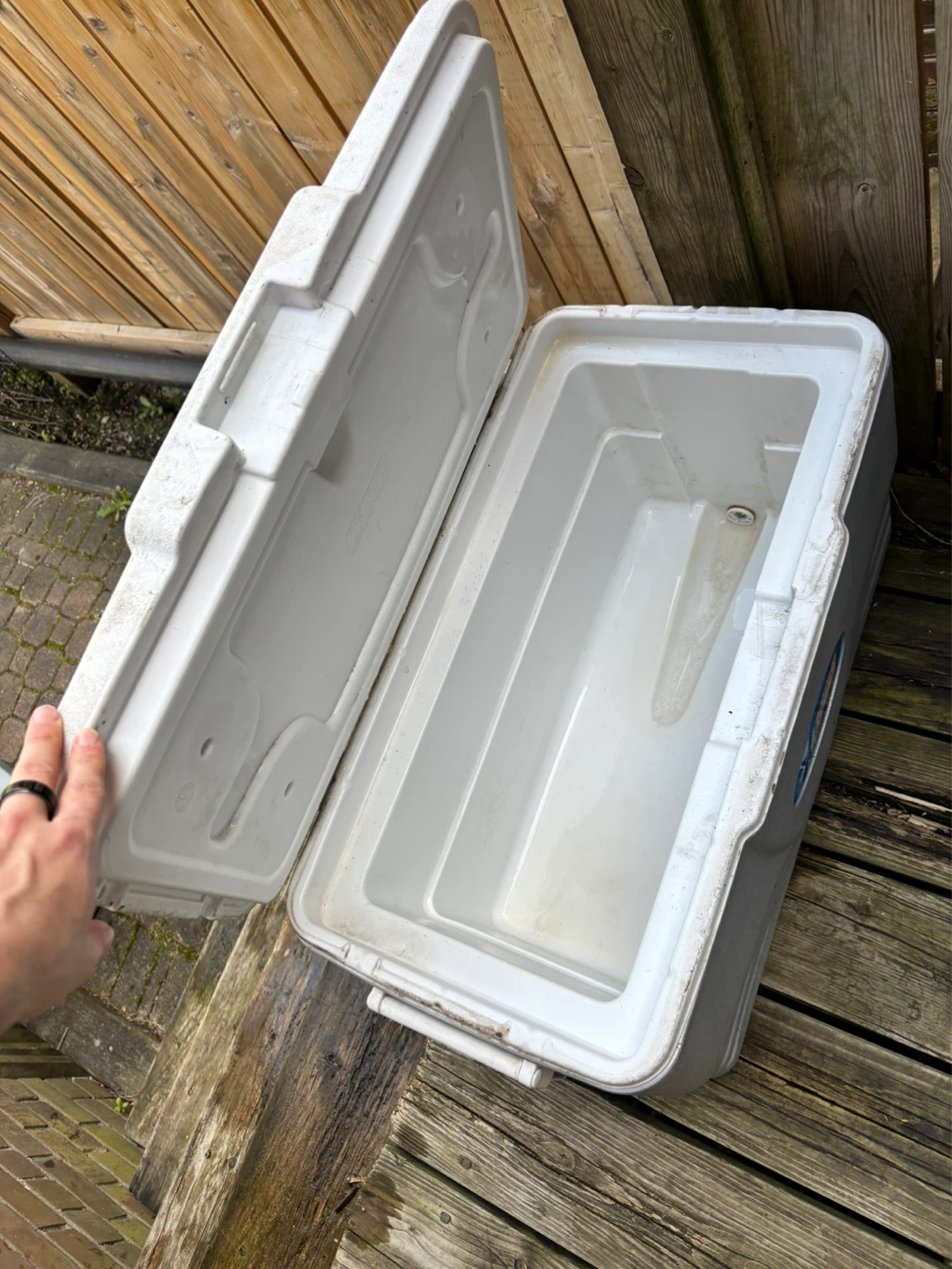Large Coleman Xtreme Cooler - photo 2