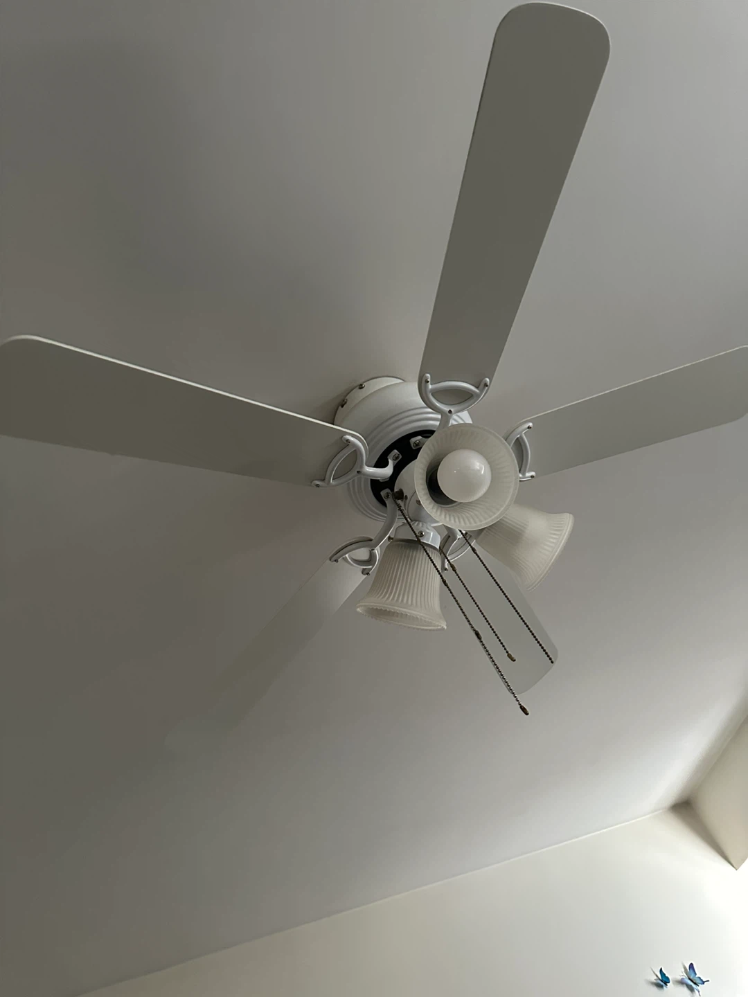 Ceiling fan with light