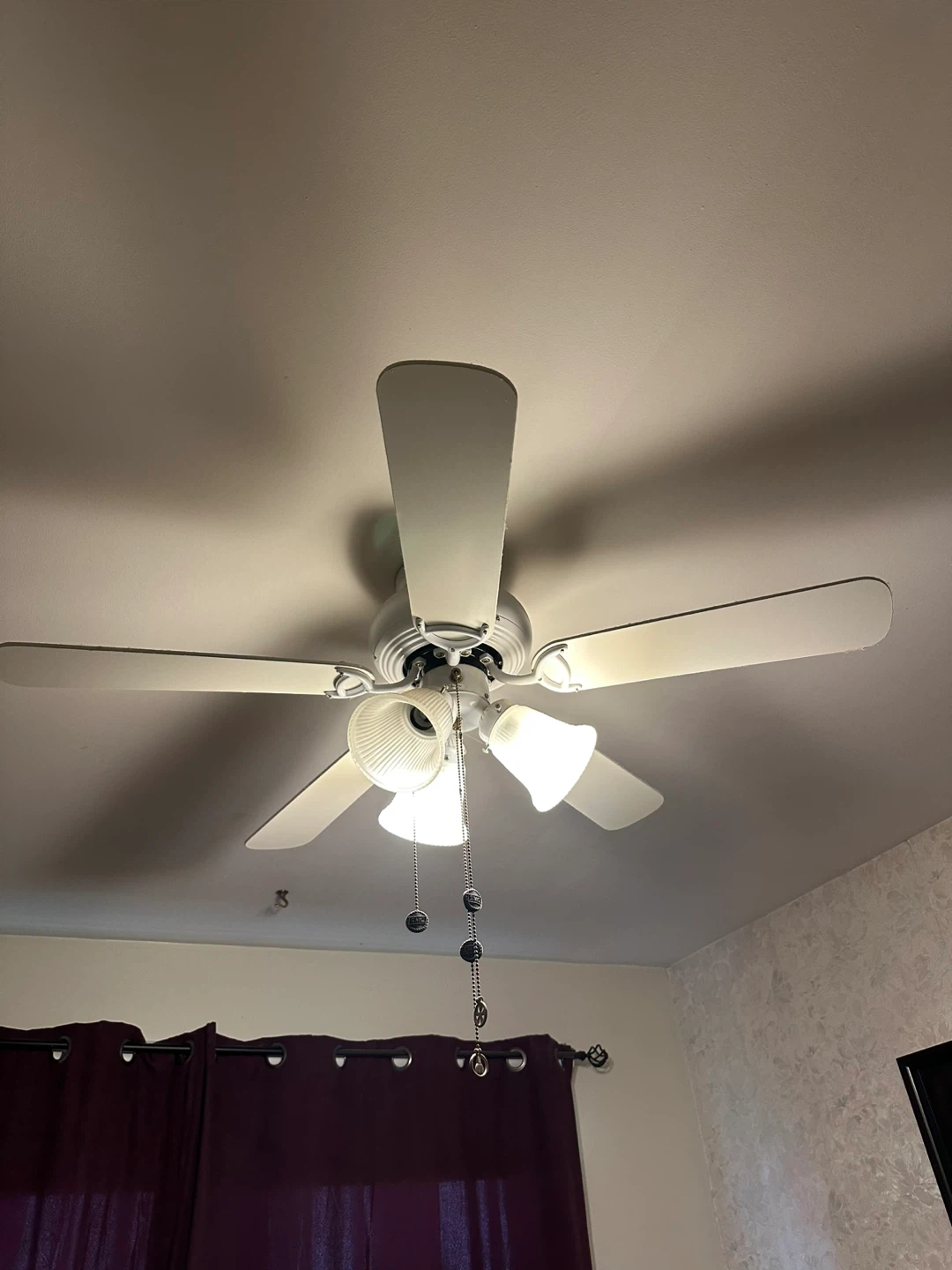 Ceiling fan with light - photo 3