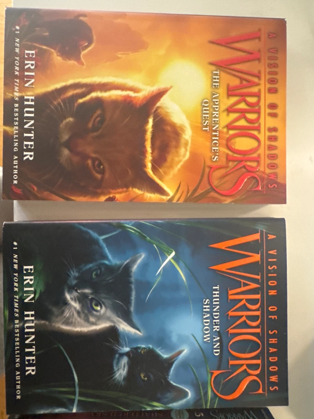 Warriors A Vision of Shadows Complete Fifth Series Box Set - photo 3