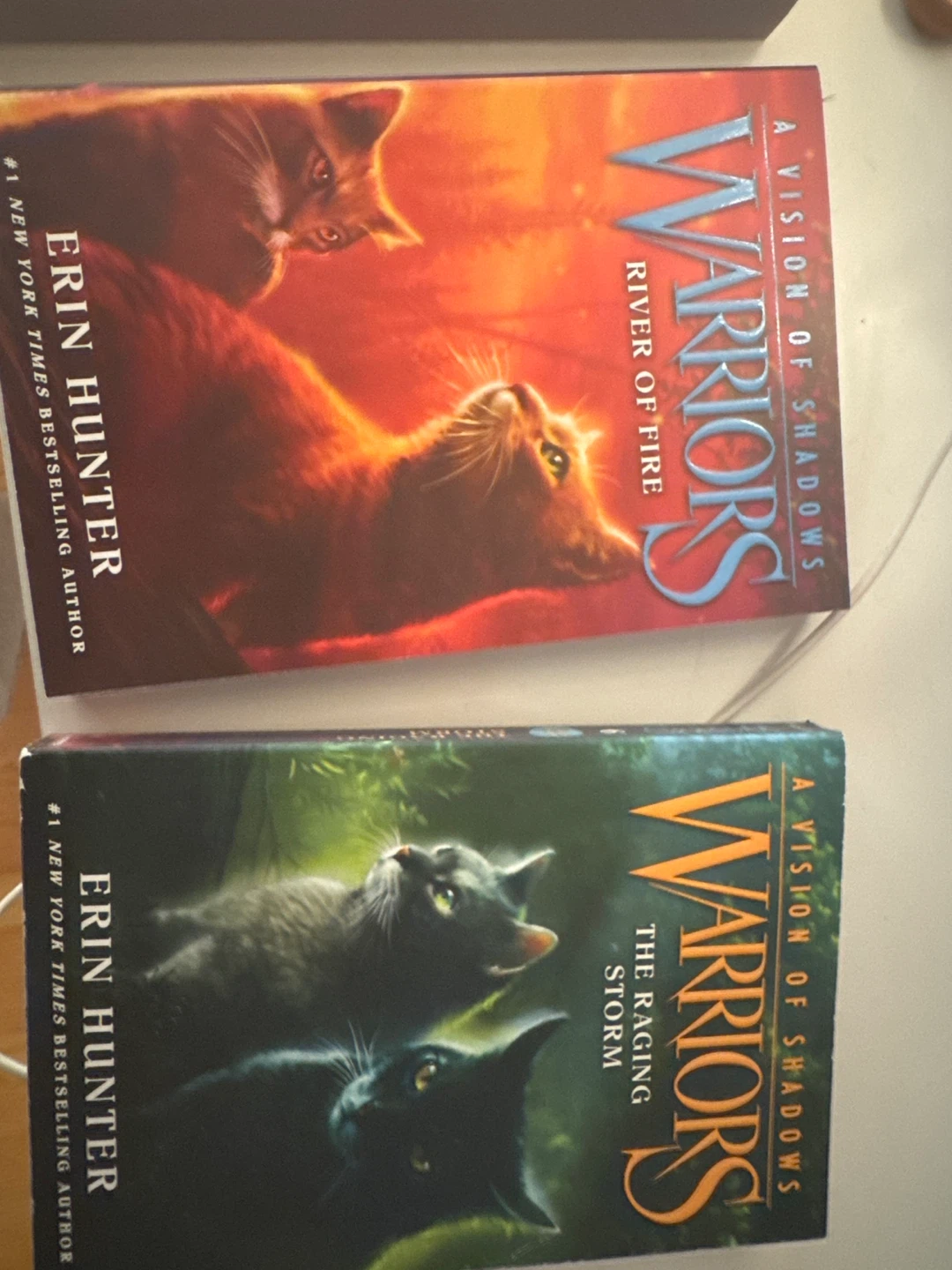 Warriors A Vision of Shadows Complete Fifth Series Box Set - photo 5