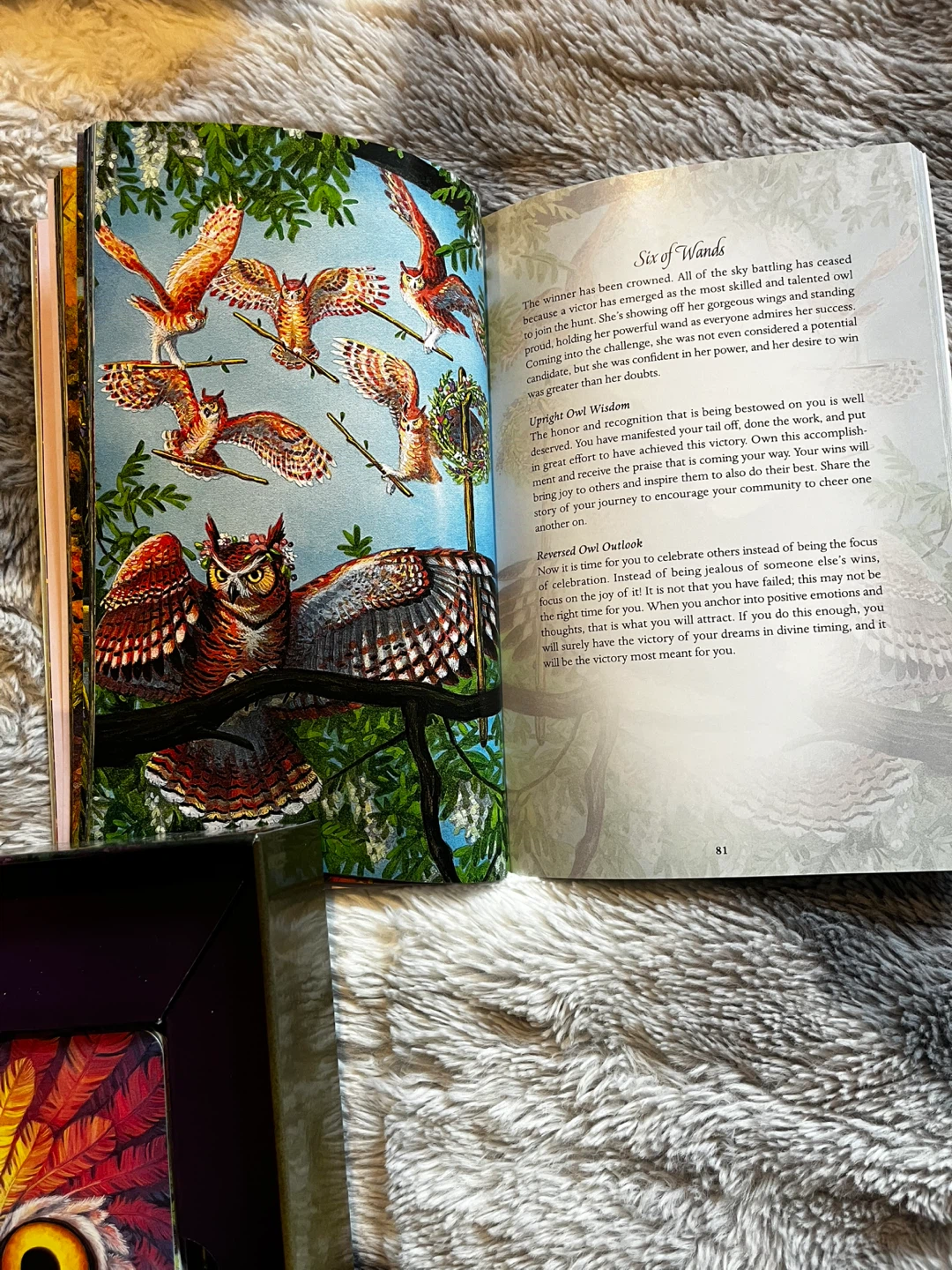 Tarot of the Owls Oracle Deck by Pamela Chen & Elisabeth Alba - photo 3