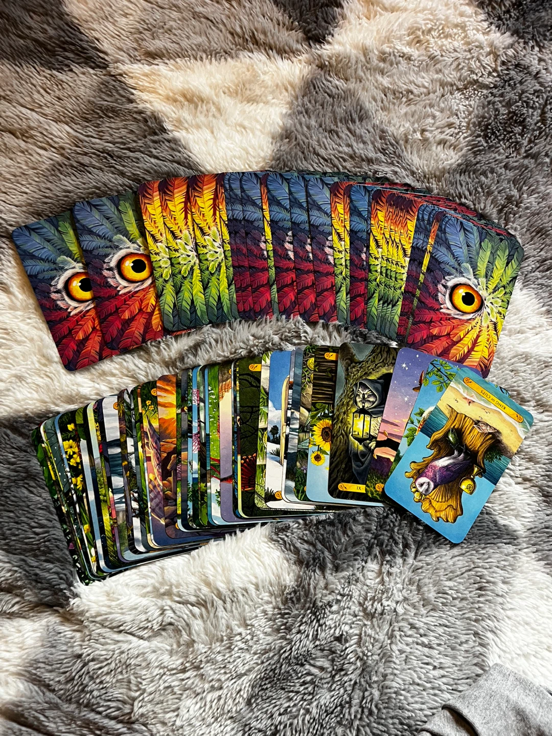 Tarot of the Owls Oracle Deck by Pamela Chen & Elisabeth Alba - photo 4