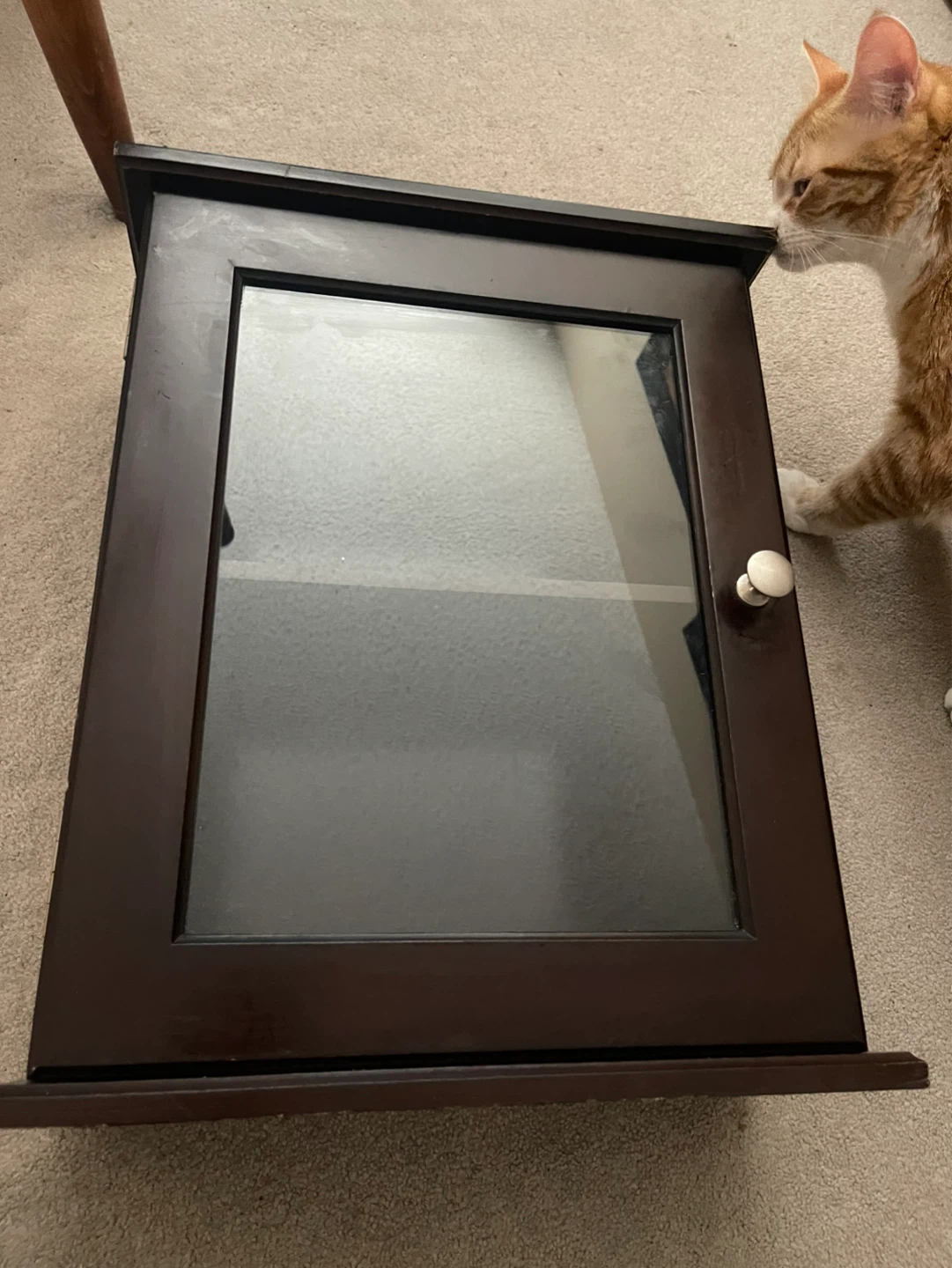 Dark Brown Wall Cabinet with Glass Door