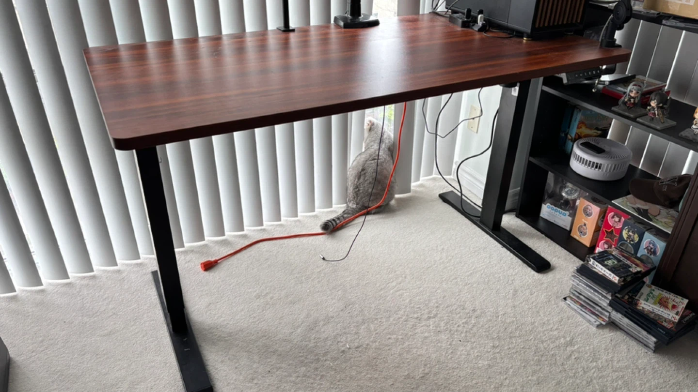 FlexiSpot Standing Desk