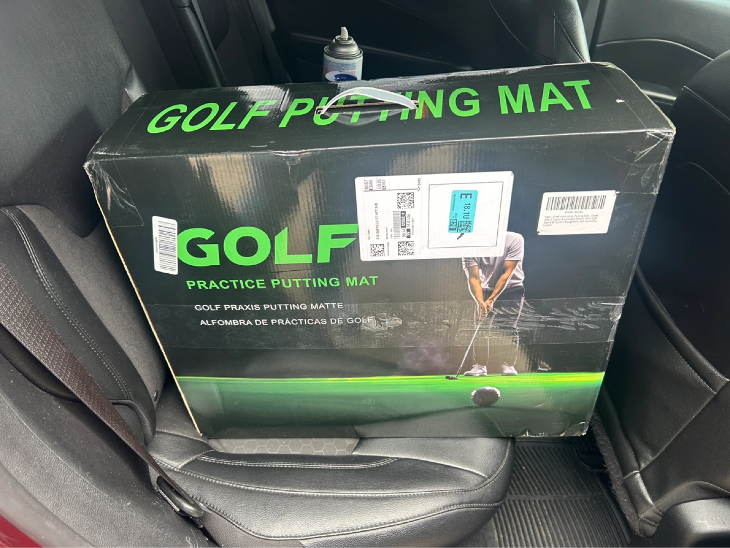 Golf Practice Putting Mat - photo 2