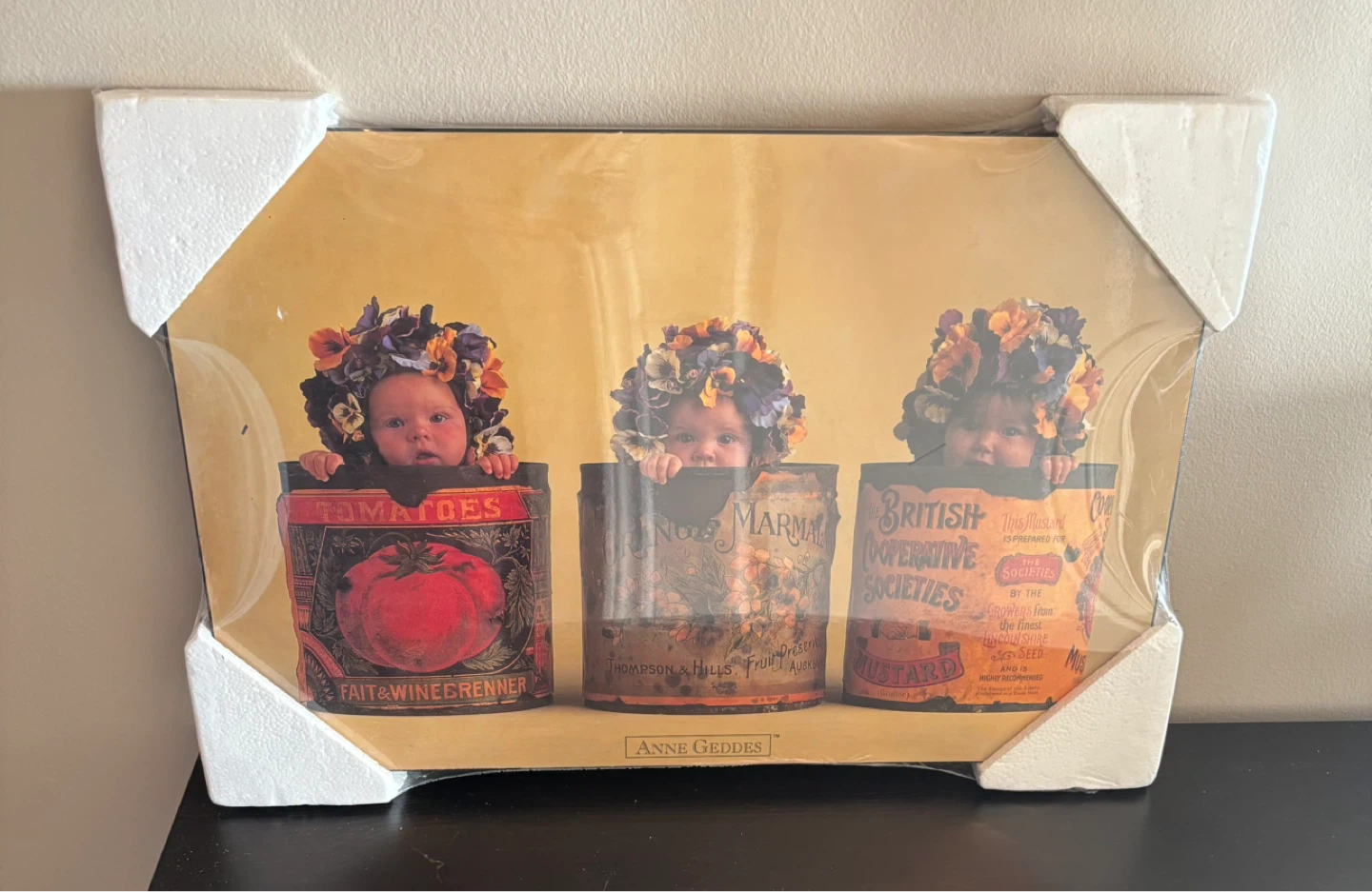 Anne Geddes Art Prints - Collection of 3 - photo 2