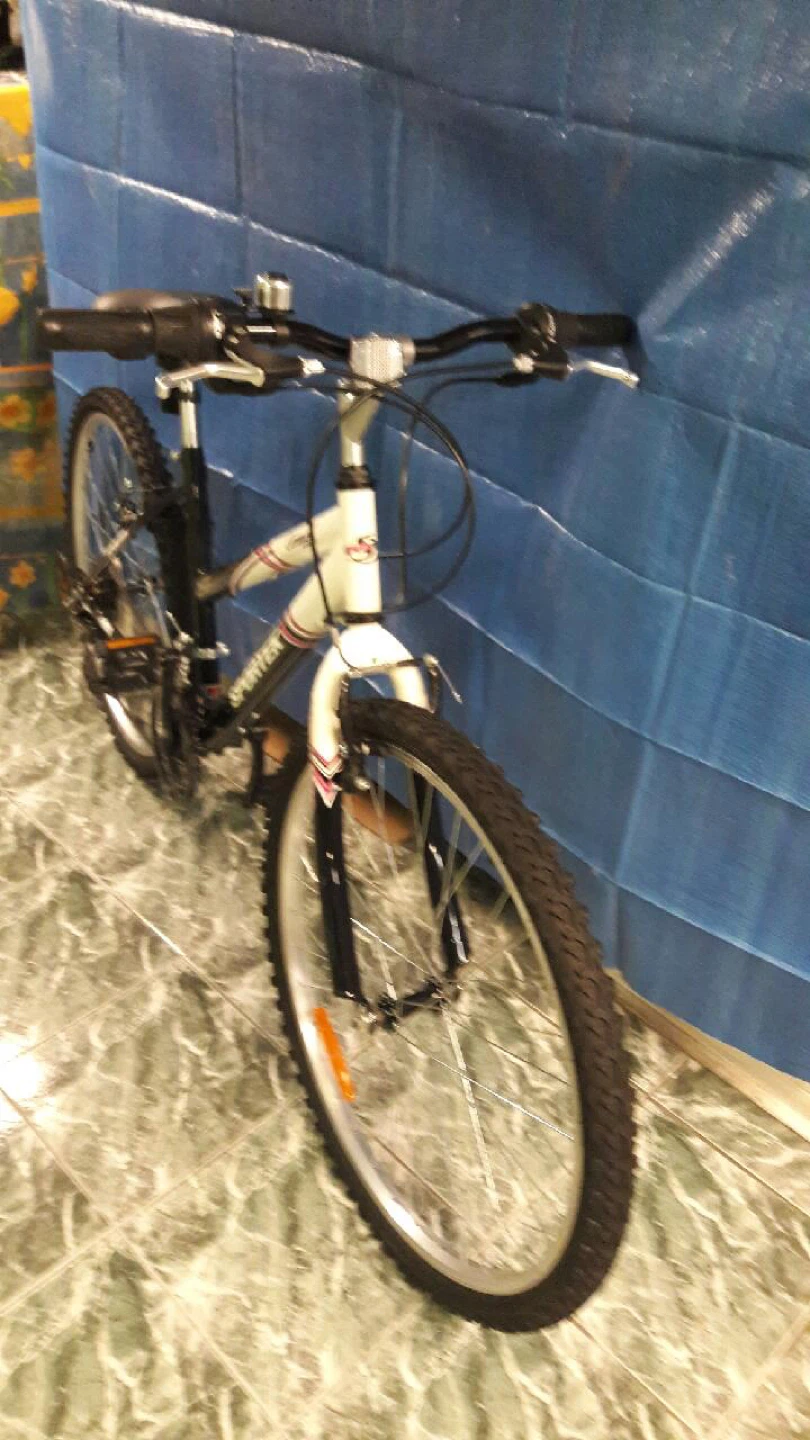 Women's Sportek mountain bike, - photo 3