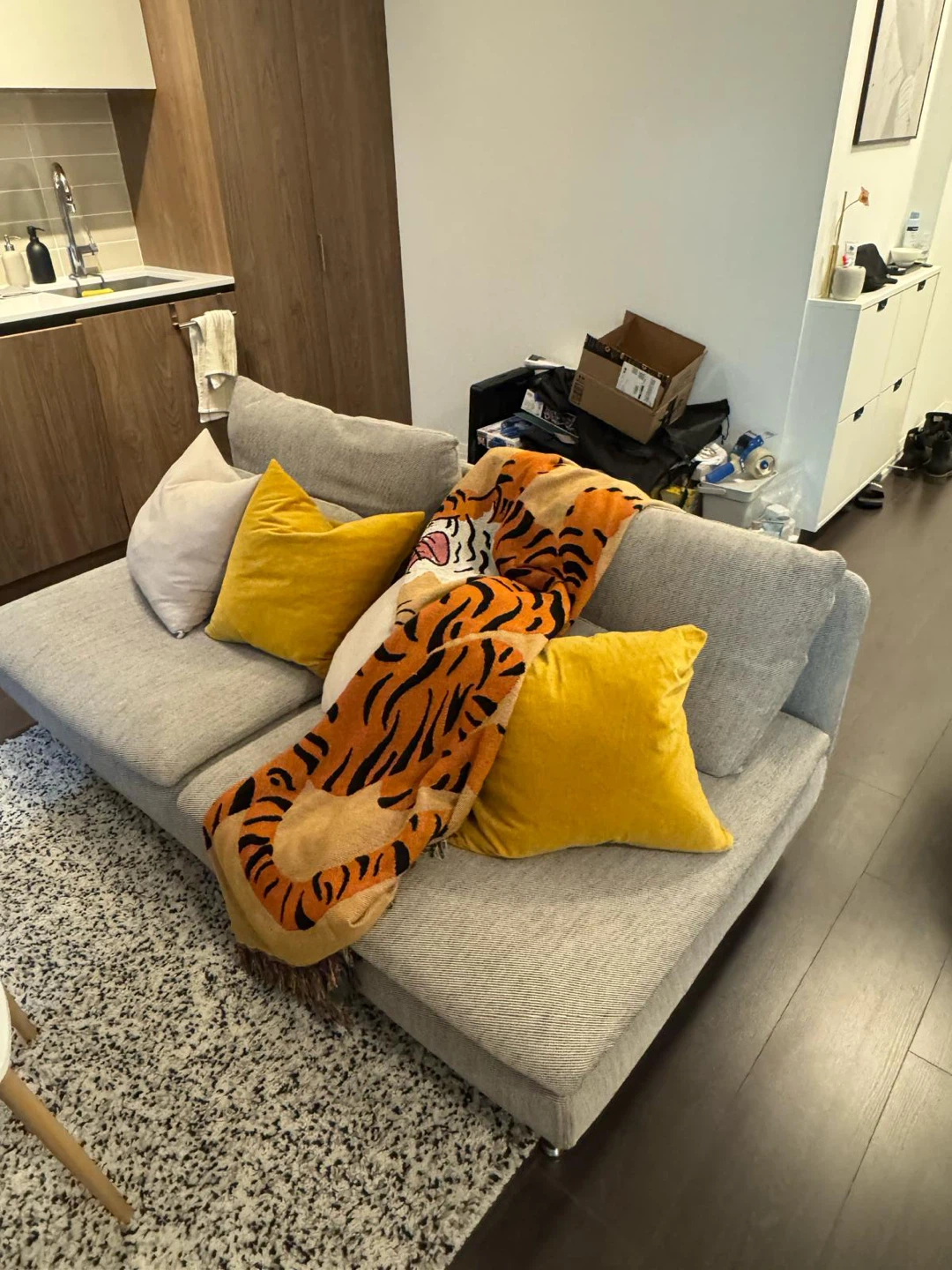 Couch with 4 added pillows