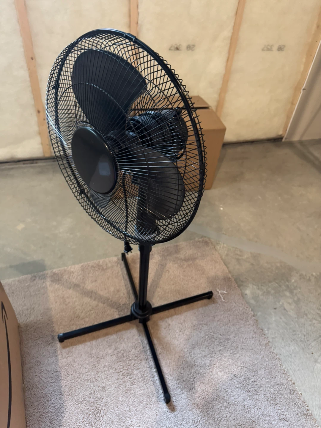 Black Oscillating Pedestal Fan