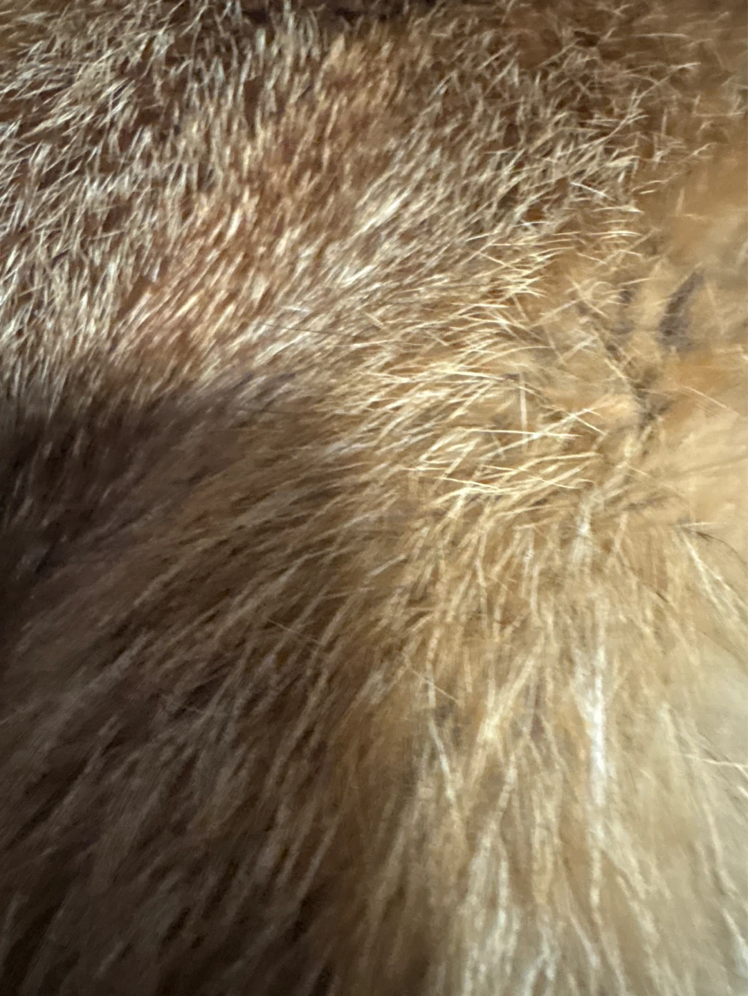Real Fox Fur pelt - photo 4