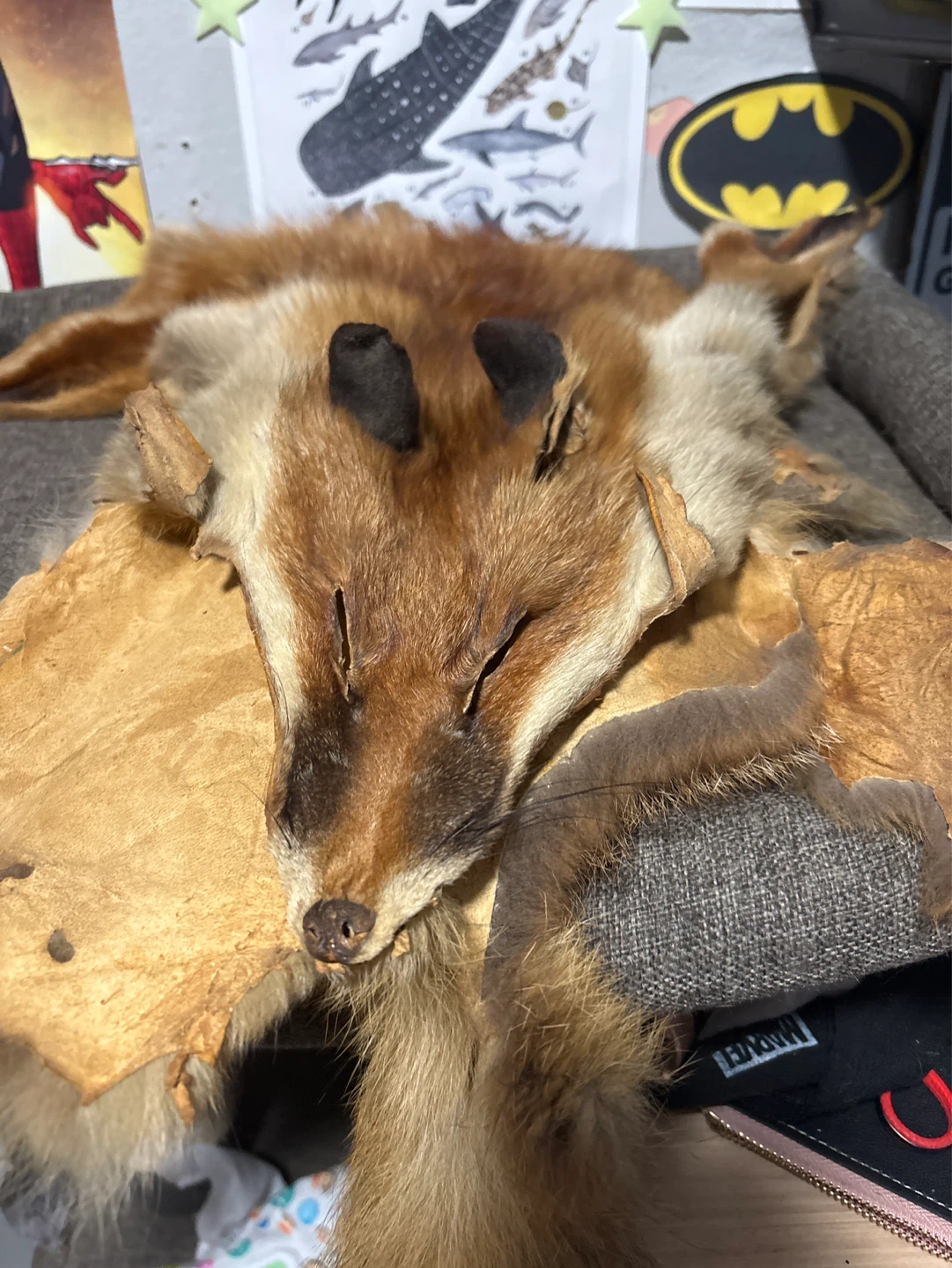 Real Fox Fur pelt
