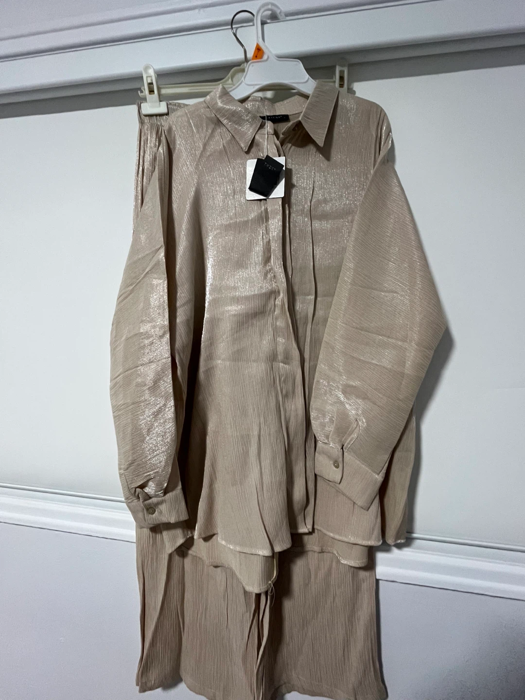 Sparkly Beige Shirt and Pants Set