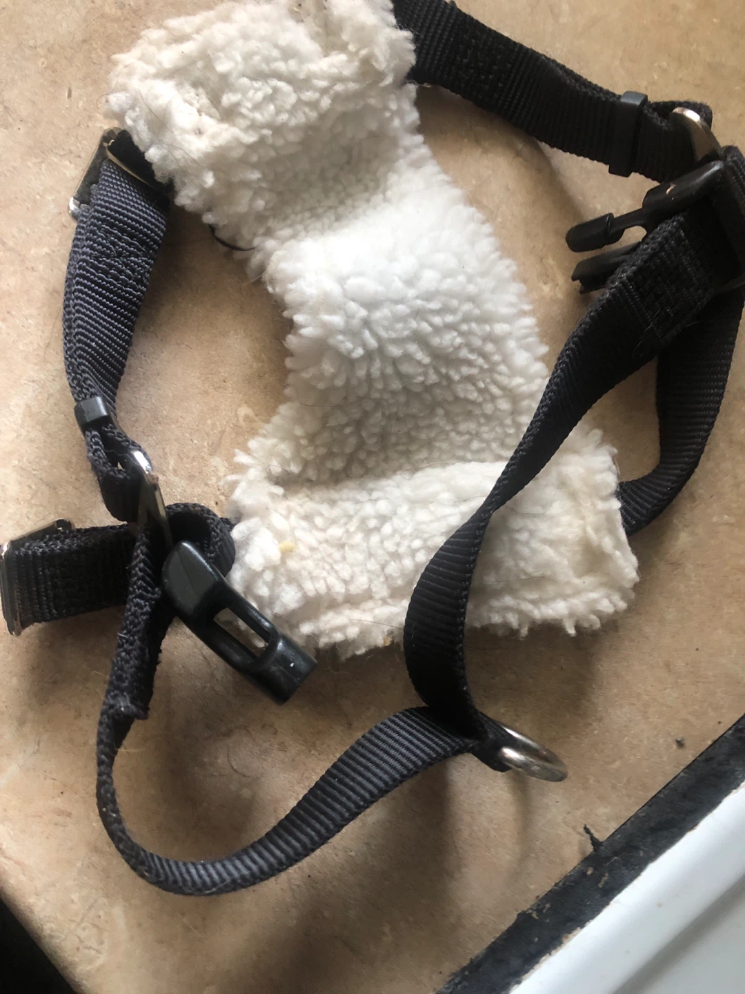 EASY RIDER Car Harness - Small - photo 2