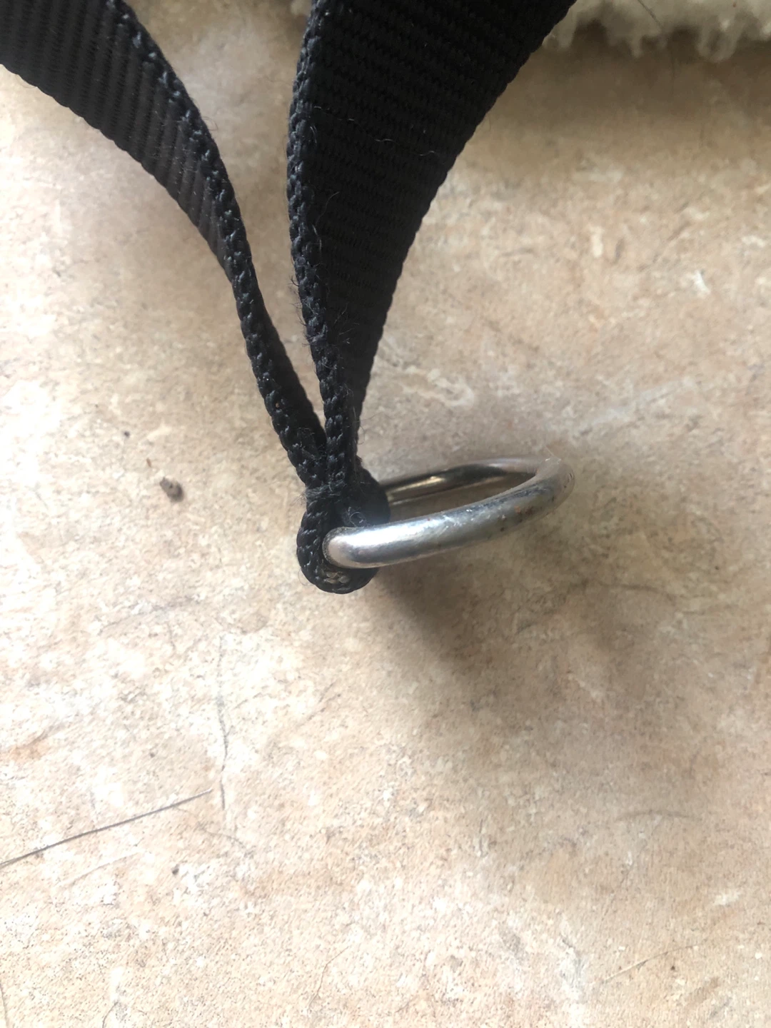 EASY RIDER Car Harness - Small - photo 4