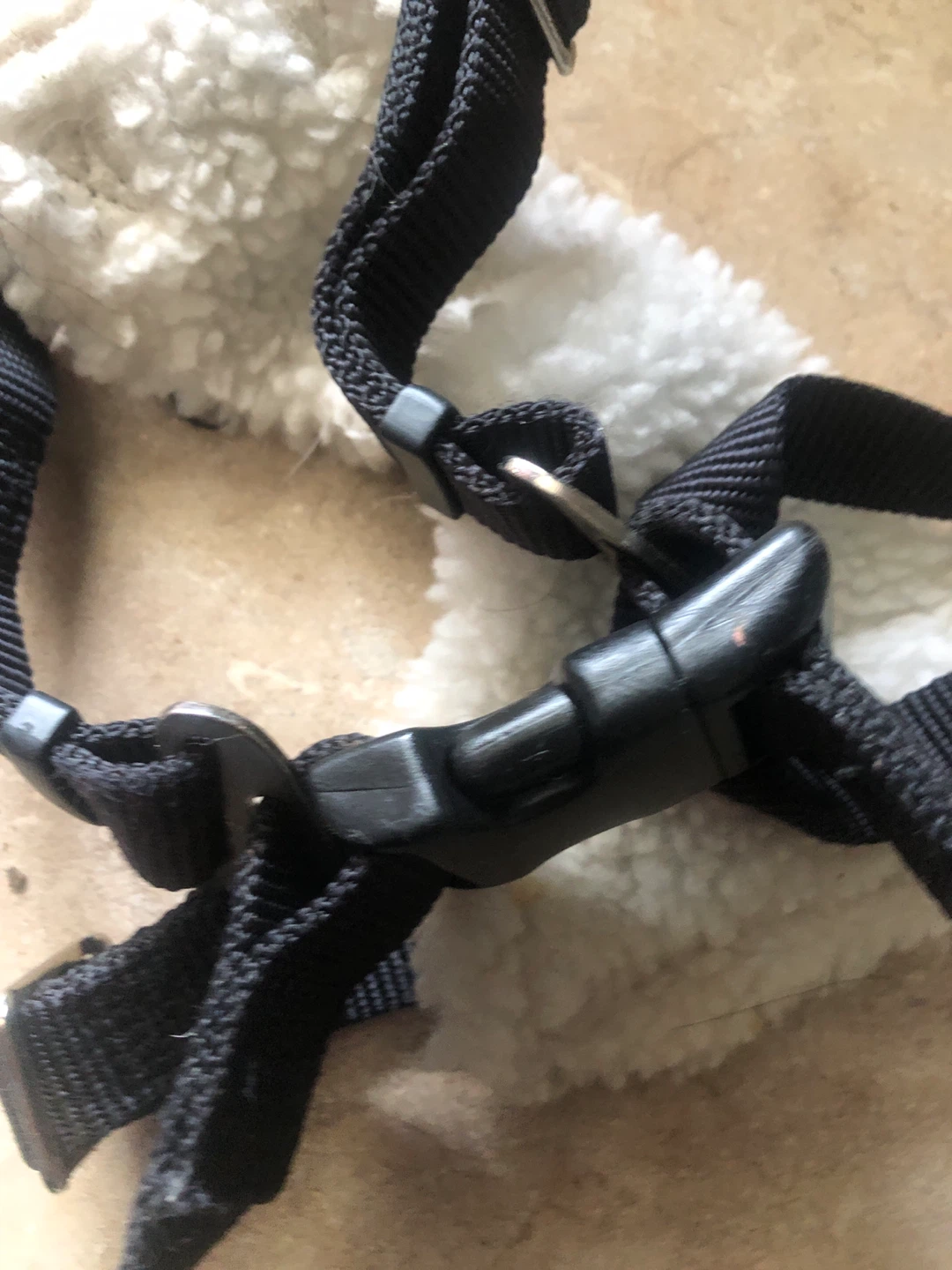 EASY RIDER Car Harness - Small - photo 3