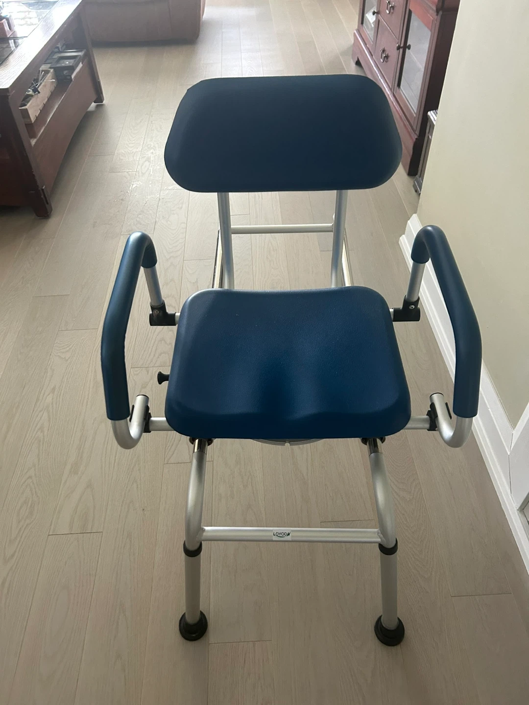Adjustable Shower Chair with Arms and Back