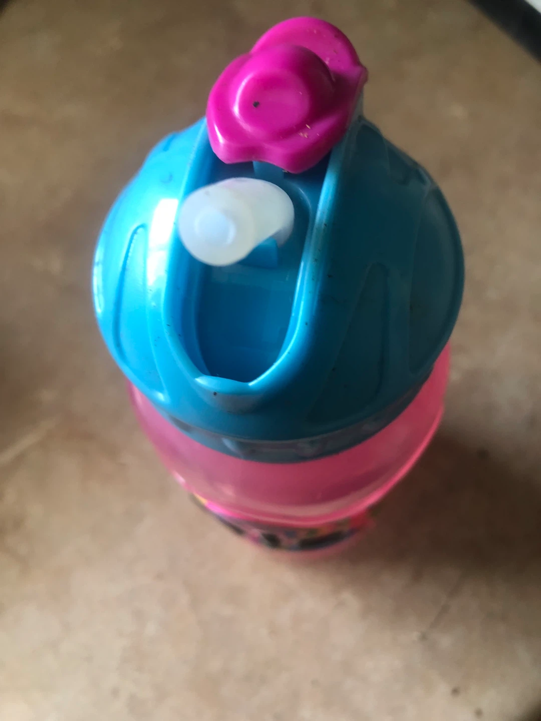 Pink and Blue Water Bottle with purple lid