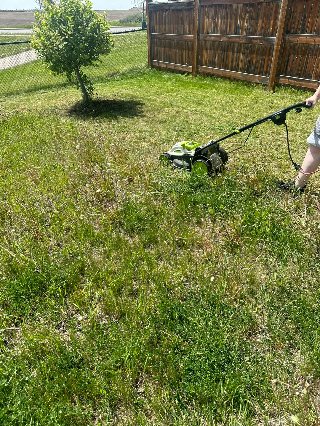 Needing a yard clean or cut?