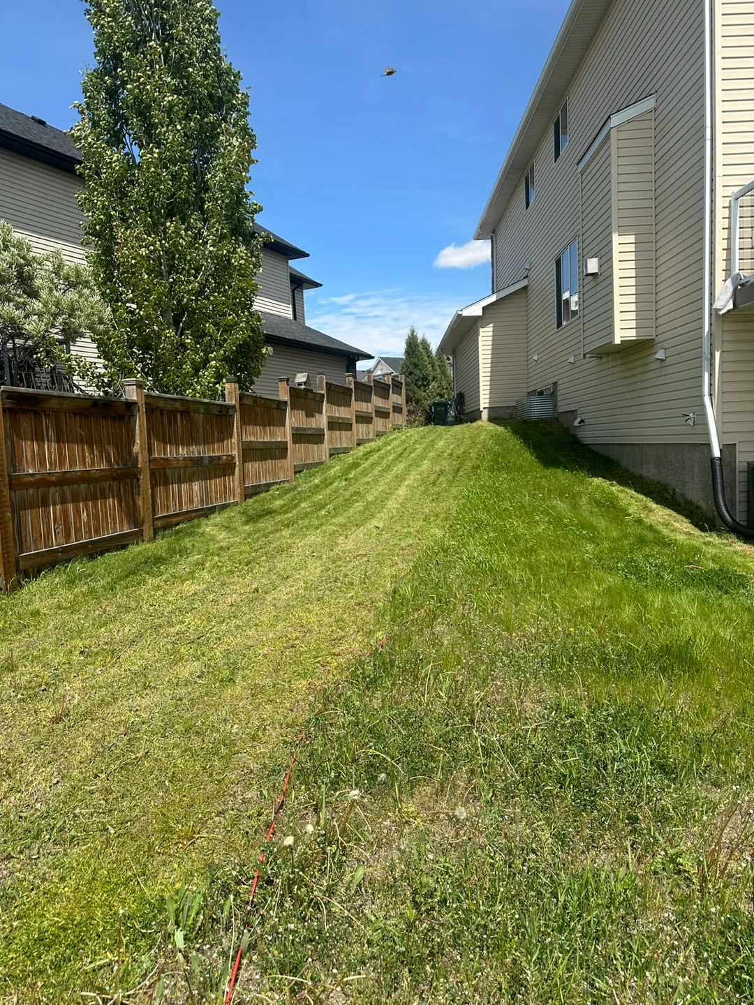 Needing a yard clean or cut? - photo 2