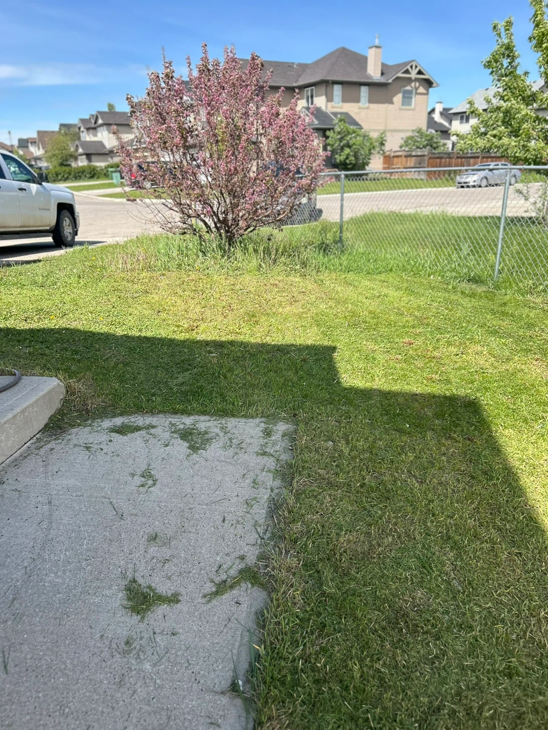 Needing a yard clean or cut? - photo 5