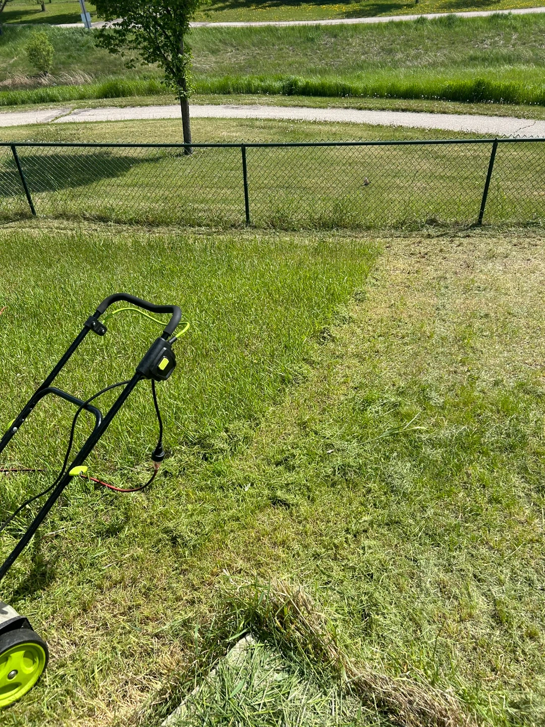 Needing a yard clean or cut? - photo 3