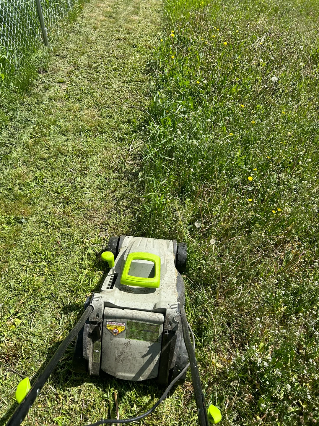 Needing a yard clean or cut? - photo 4