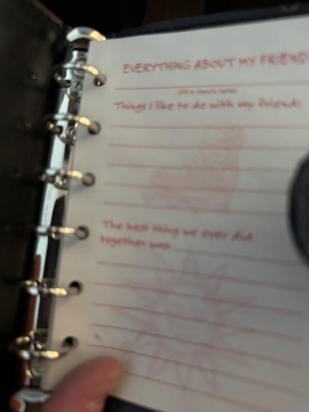 Mary-Kate and Ashley Friendship Journal - photo 2