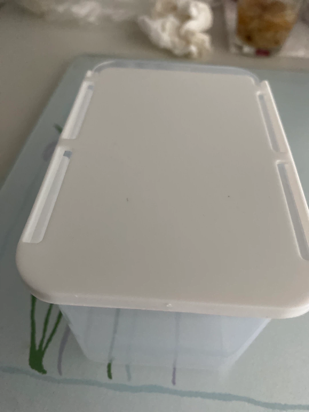 Clear Plastic Food Storage Container with White Lid - photo 2