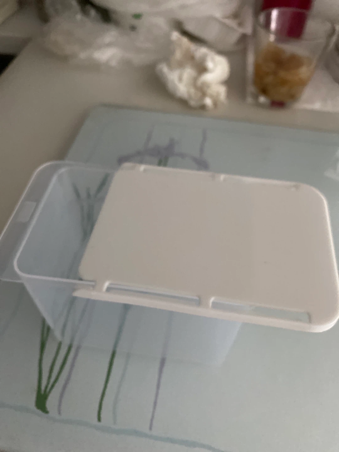 Clear Plastic Food Storage Container with White Lid