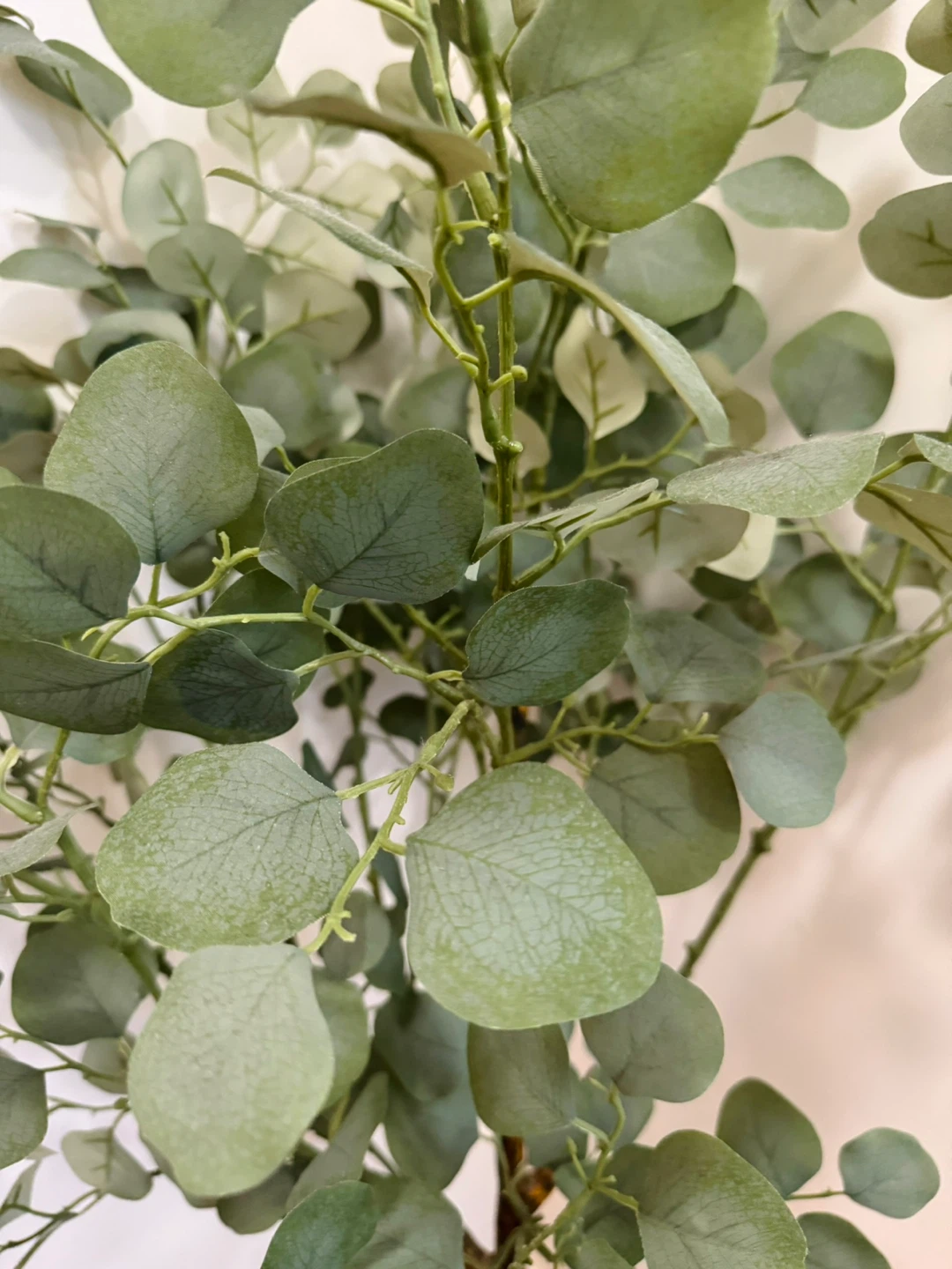 Artificial Eucalyptus Tree in Pot - photo 3