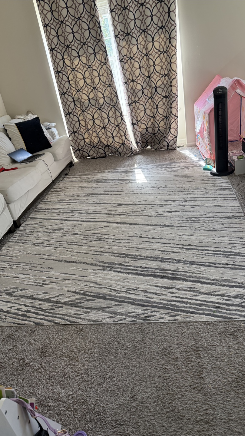 Area Rug - Grey and White Abstract Stripe Pattern - photo 2