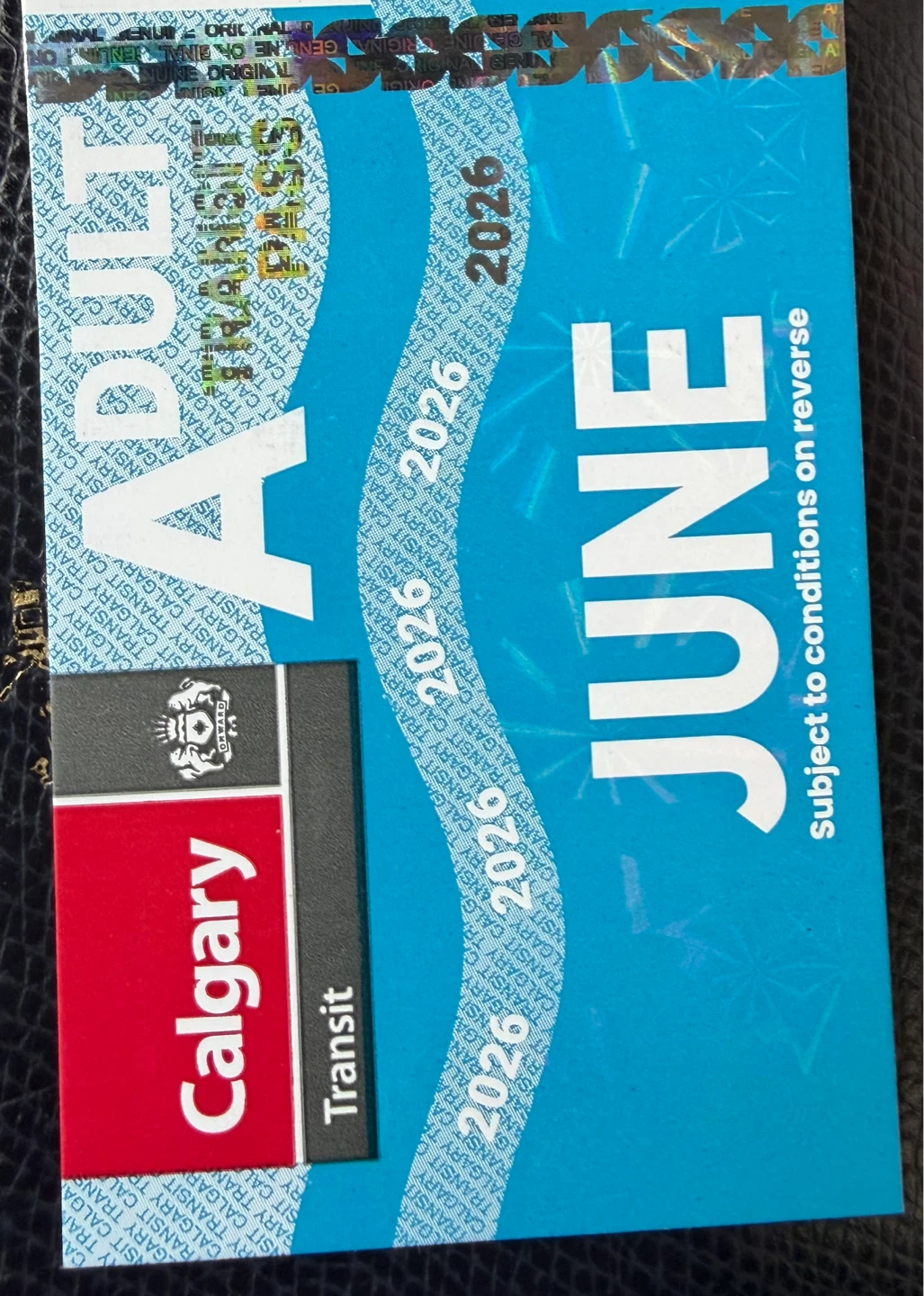 June 2026 Adult bus pass - new photo tomorrow